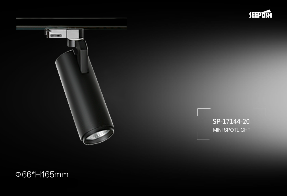 SP-17144-20  Track Light