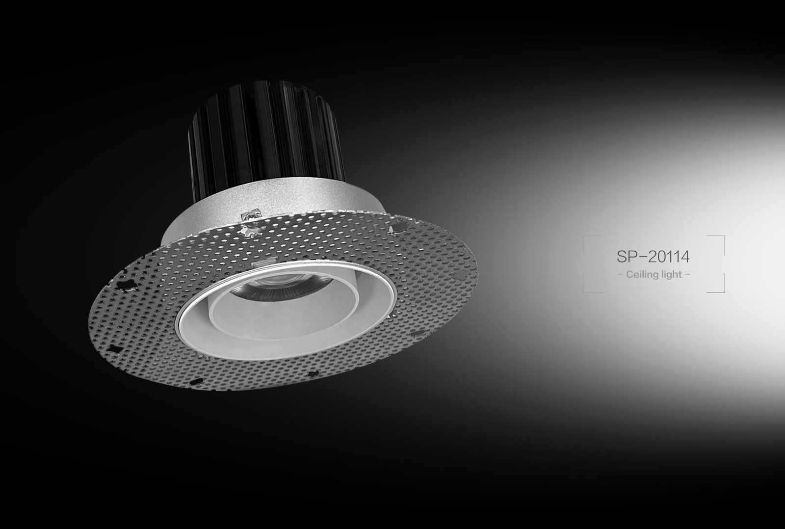 SP-20114  Ceiling Light