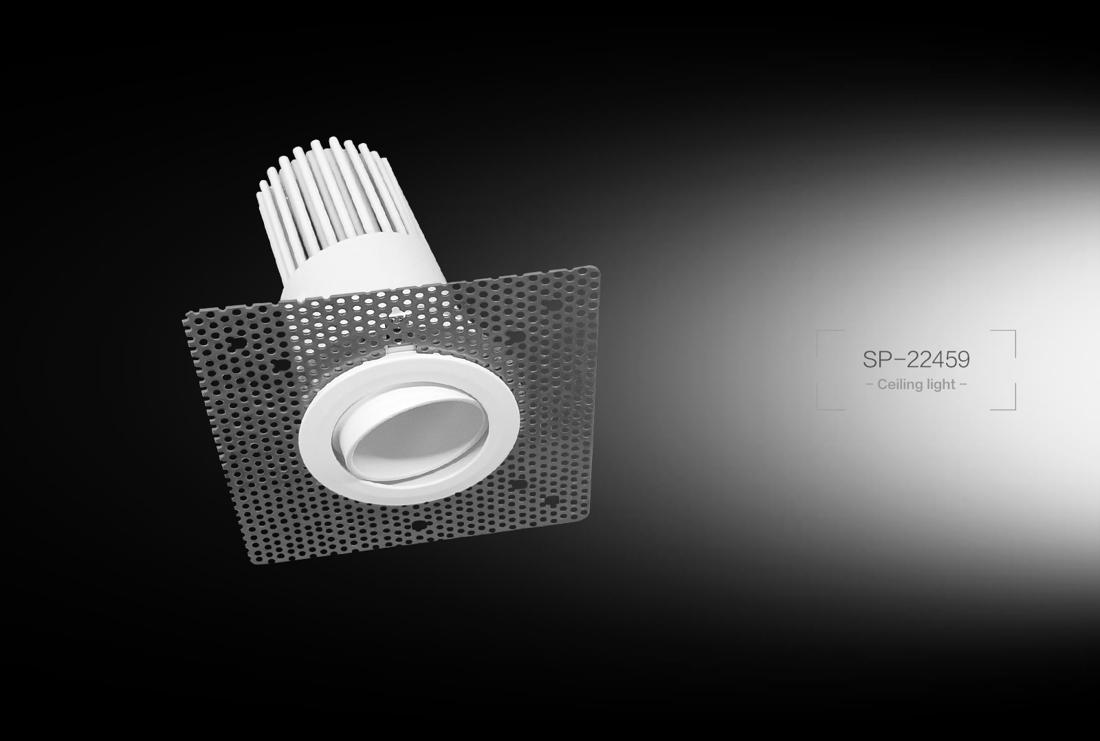 SP-22459  Ceiling Light