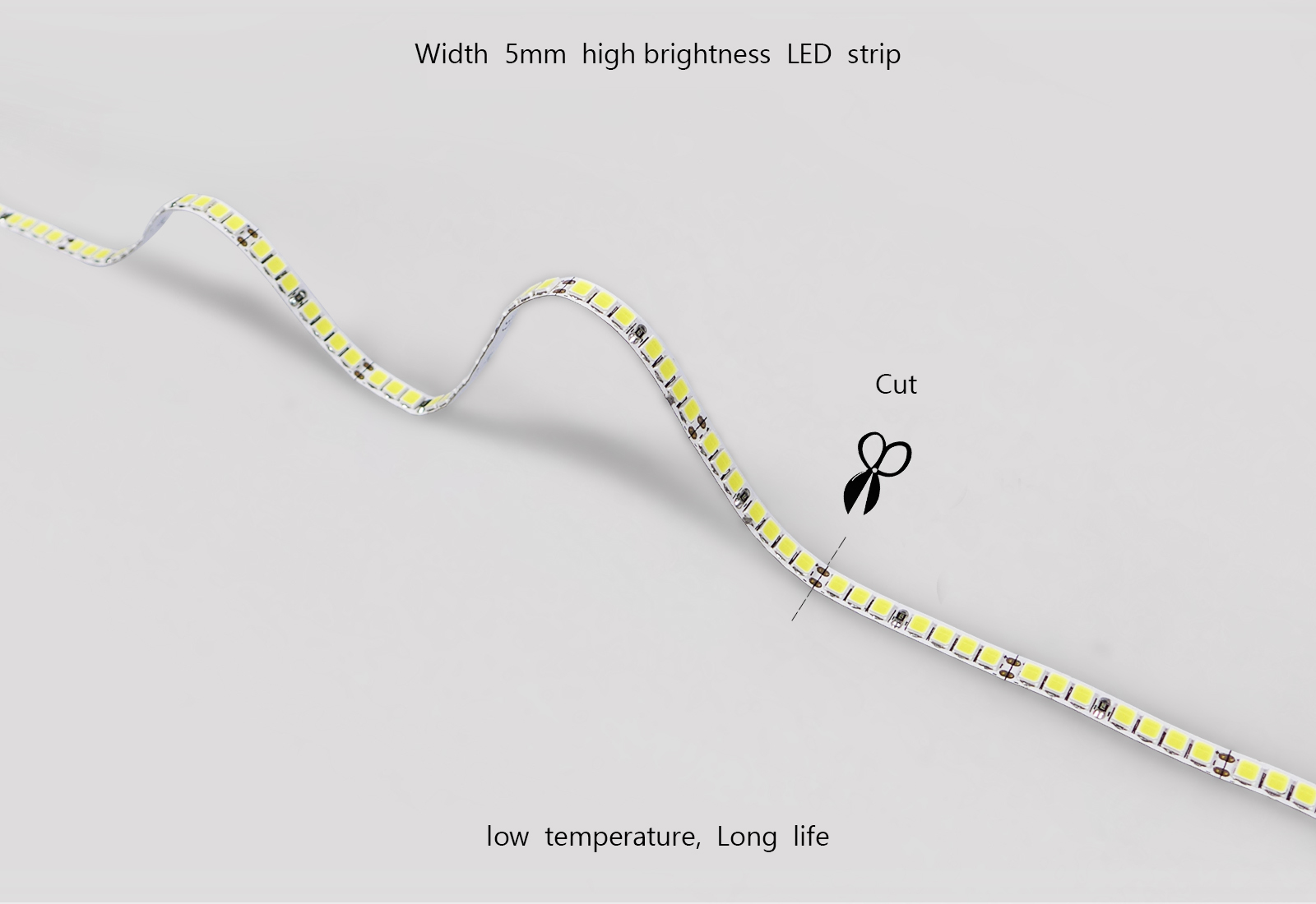 SP-18080-5-238  Led strip