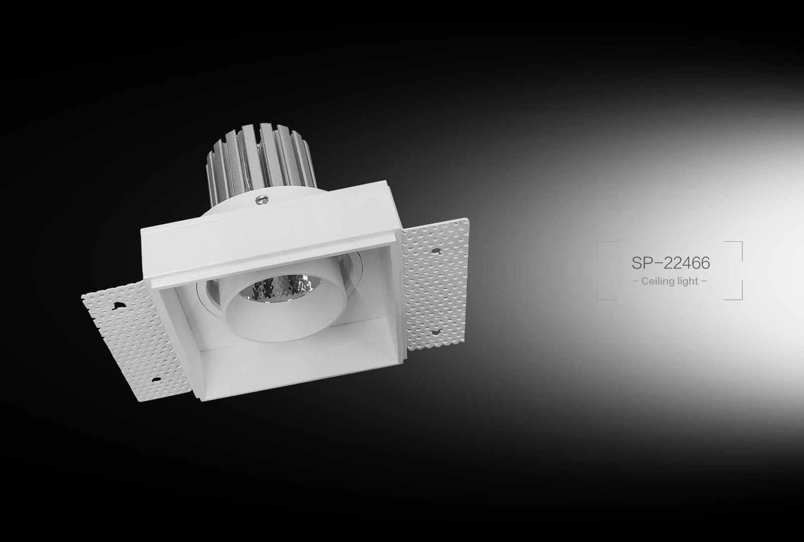 SP-22466  Ceiling Light