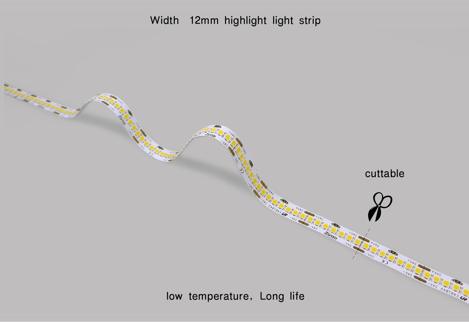 SP-18080-12-245  Led Strip gallery image
