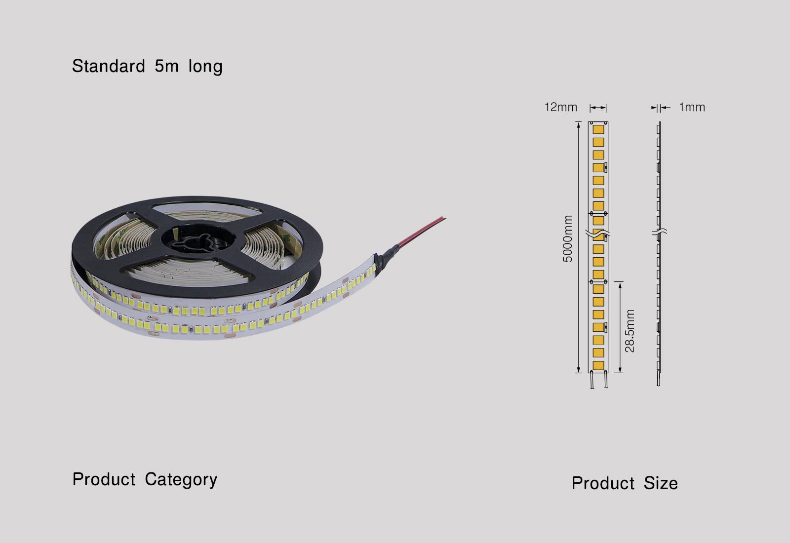 SP-18080-12-245  Led Strip gallery image