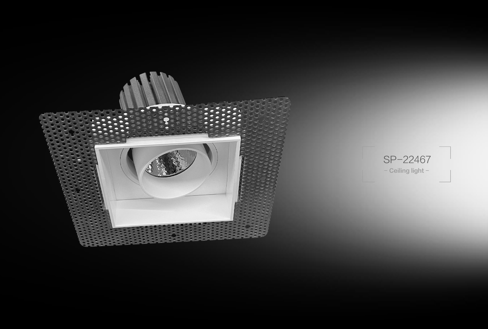 SP-22467 Ceiling Light