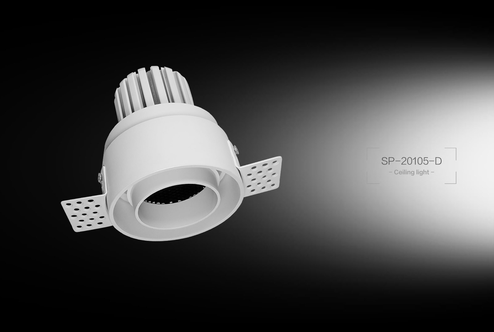 SP-20105-D  Ceiling Light