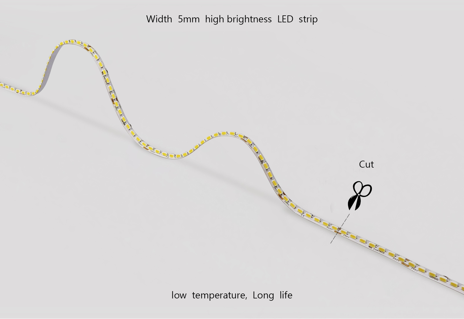 SP-18080-5-224  Side light belt
