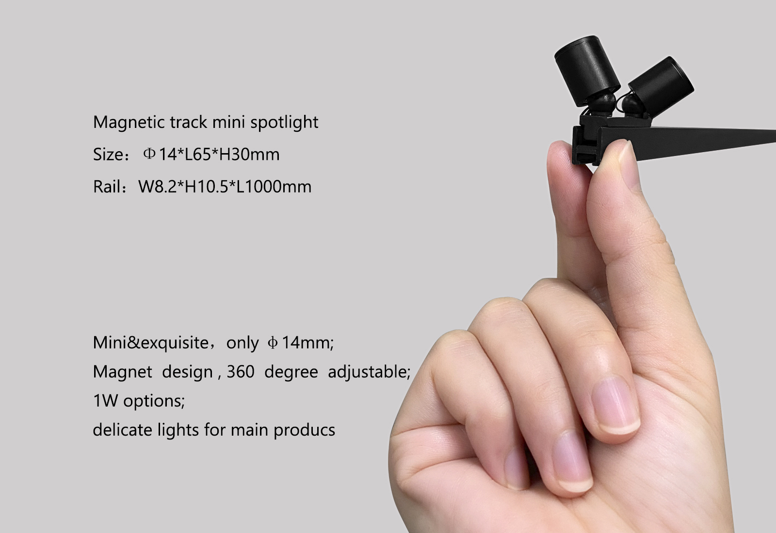 SP-21857 Track Llight