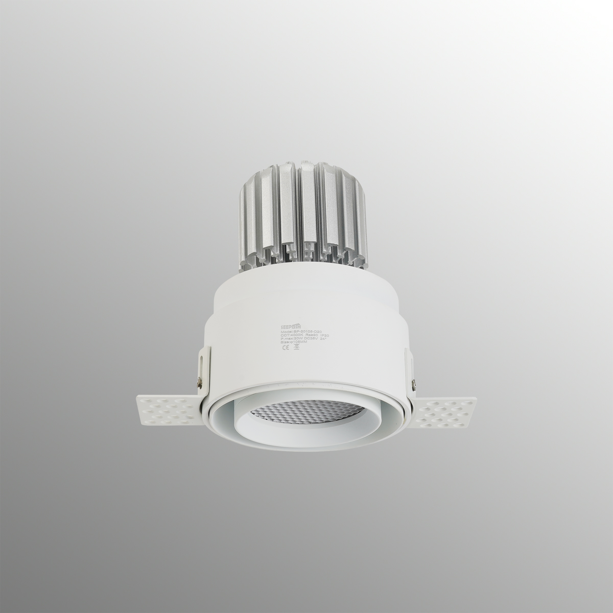 SP-20105-D  Ceiling Light