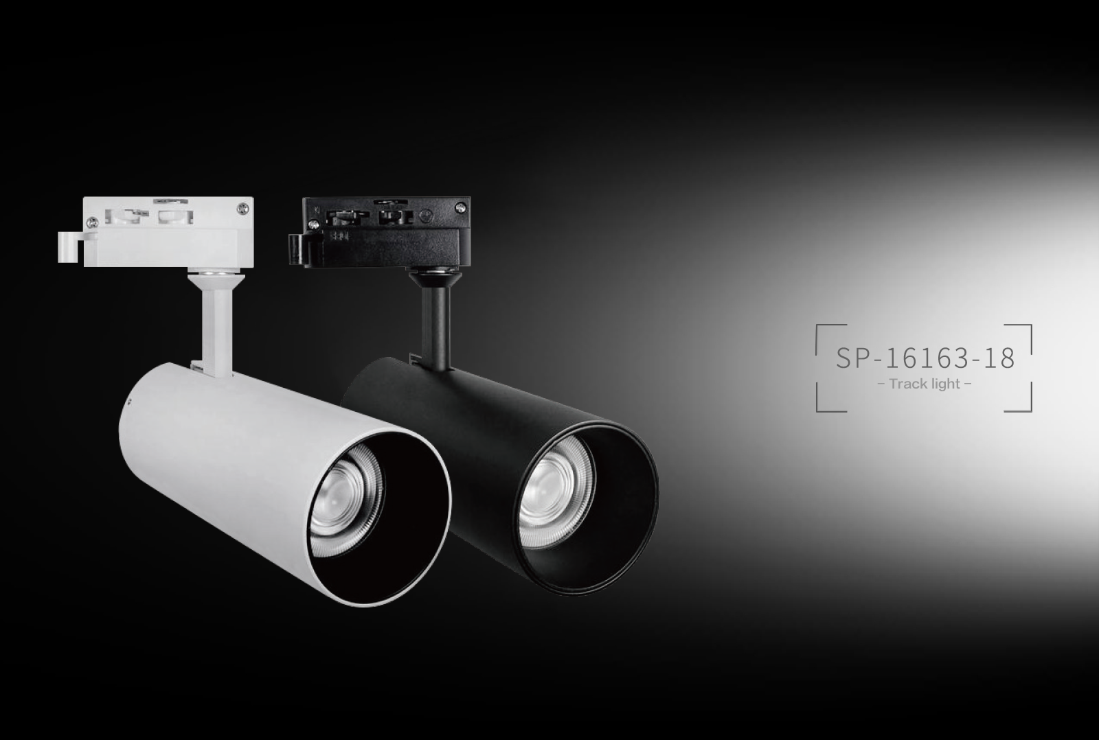 SP-16163-18  Track Light