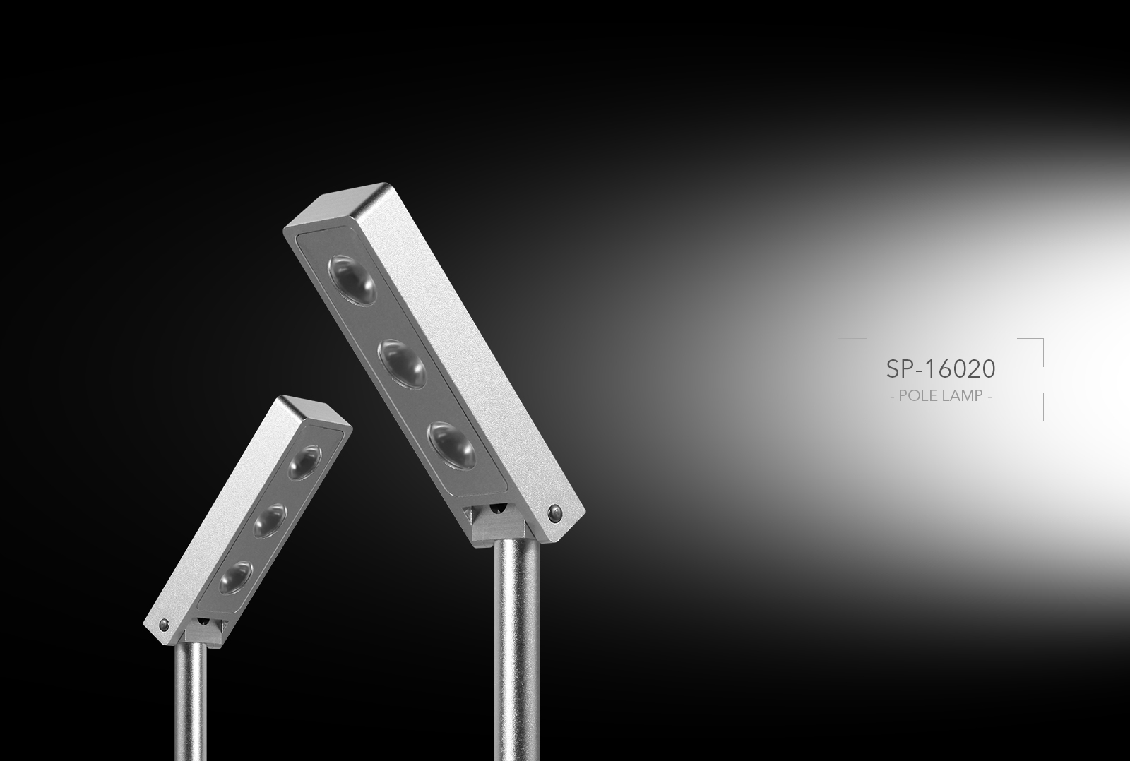 SP-16020  Custom adjustable display case pole light