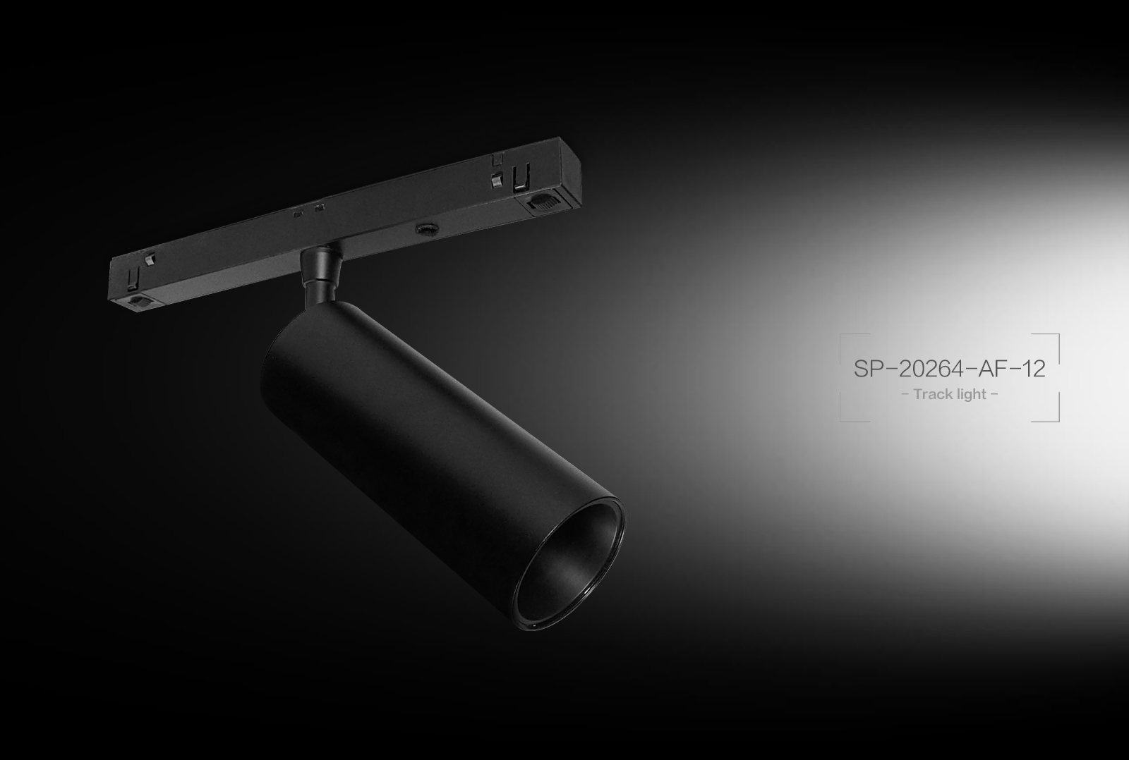 SP-20264-AF-12  Track Light