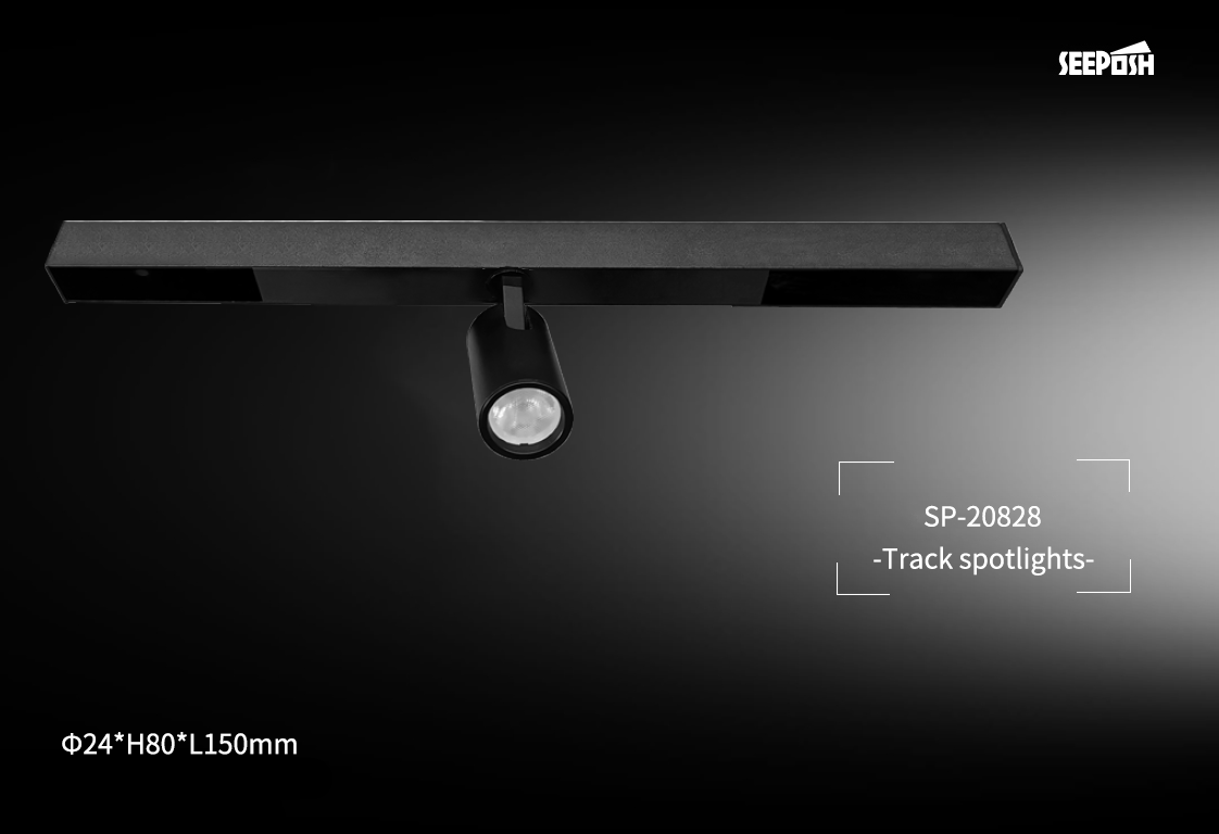 SP-20828  Track Light