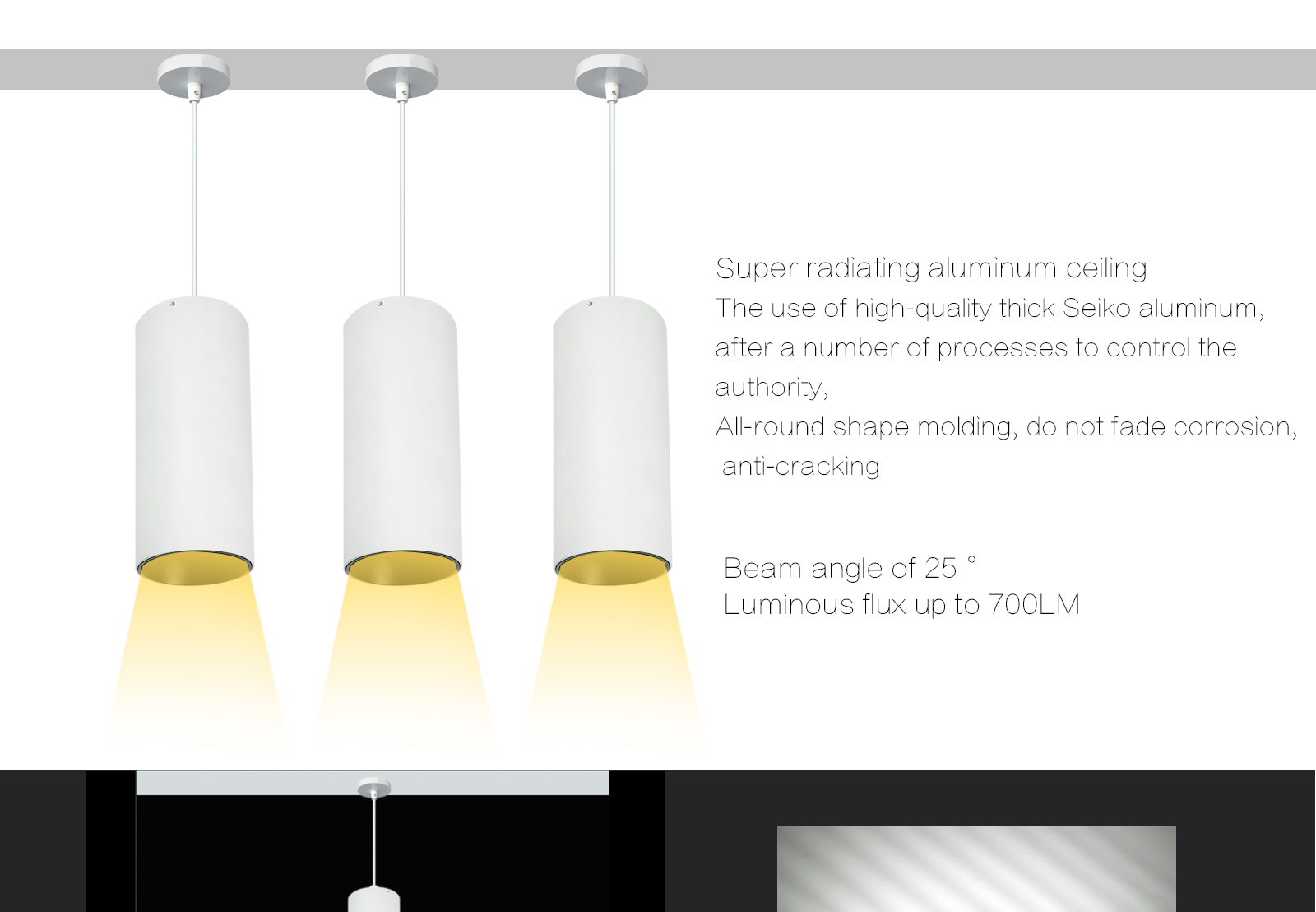 SP-16164-12 Suspended pendant Light gallery image