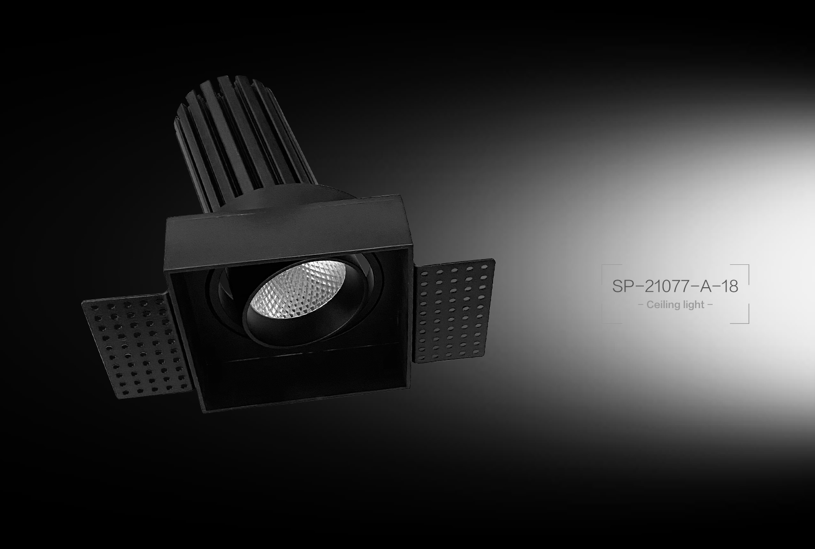 SP-21077-A-18 Ceiling Light