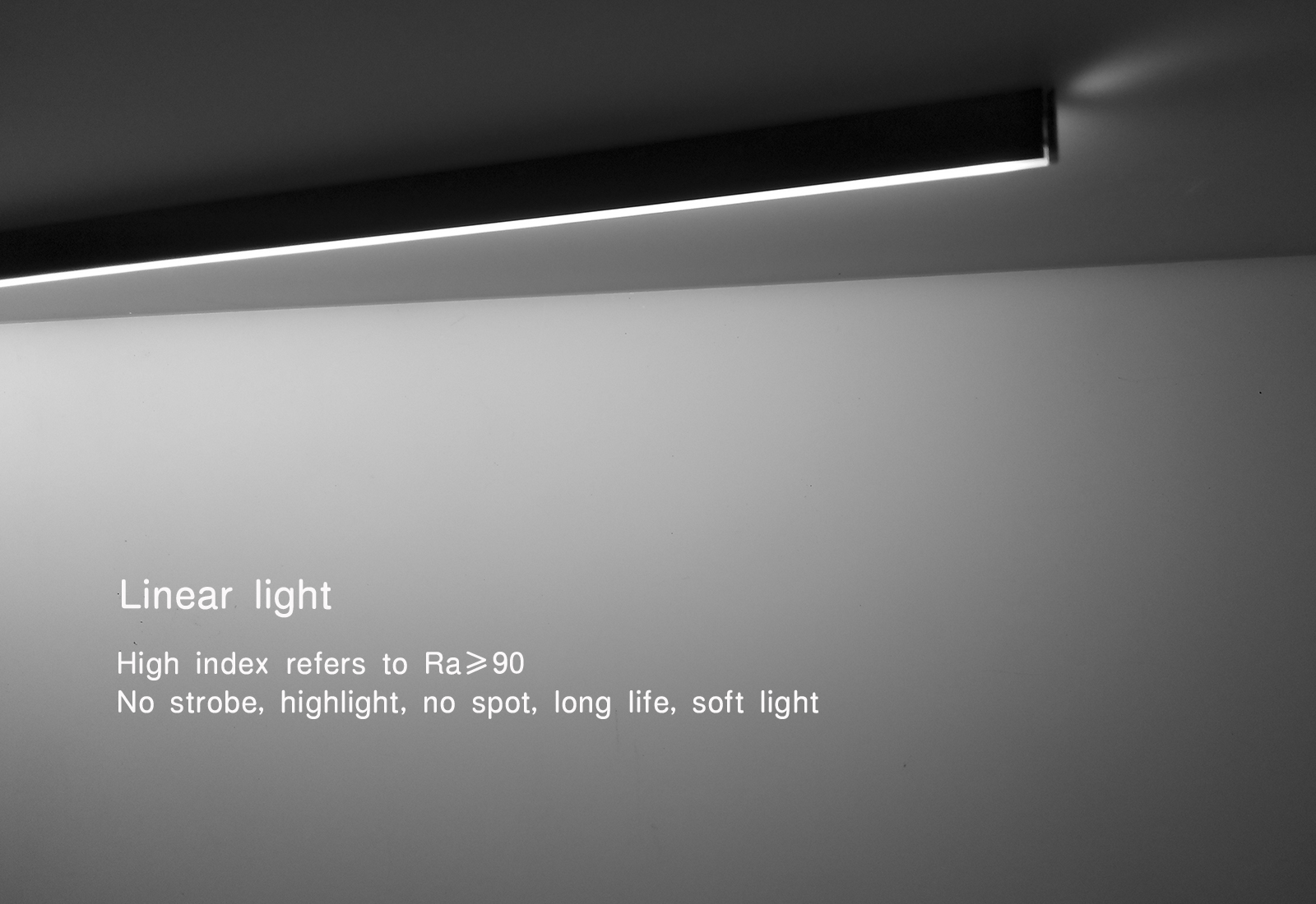 SP-18220 Shoe Bag Linear Light